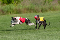 prg 1 race 2 Wallie Frankie Devo Sid Elsa-2868