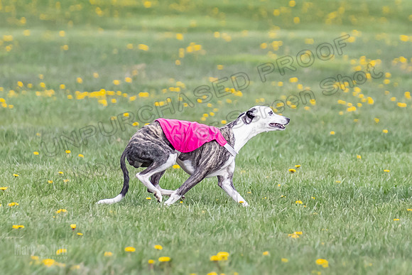 1 Prelim FCh A2 Keegan Really Rush-6671