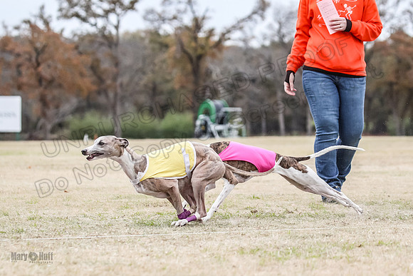 Finals Open 4 Rigel Trixie-4094