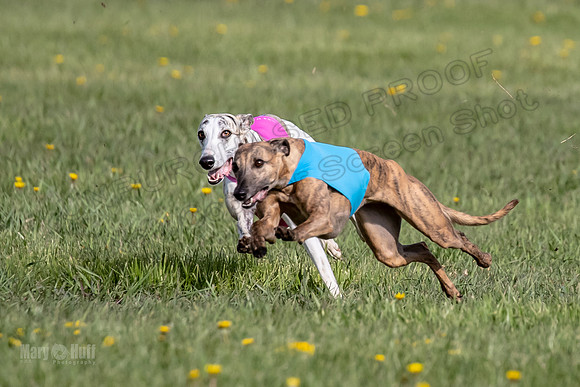1Prelims Open E1 Boujee Riptide Zaza-0711