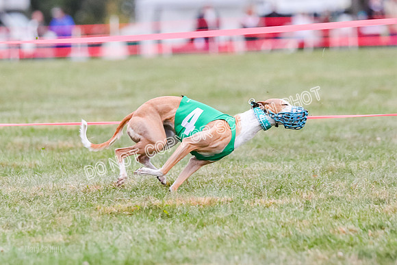 Prg 1, race 12, Gibbs Java Watson Tsunami-0863