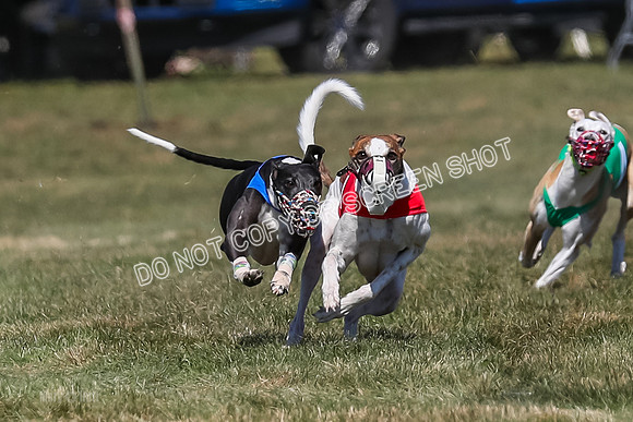 Prg 3, Race 9, Bibi Maybe Nami Rosie-2153