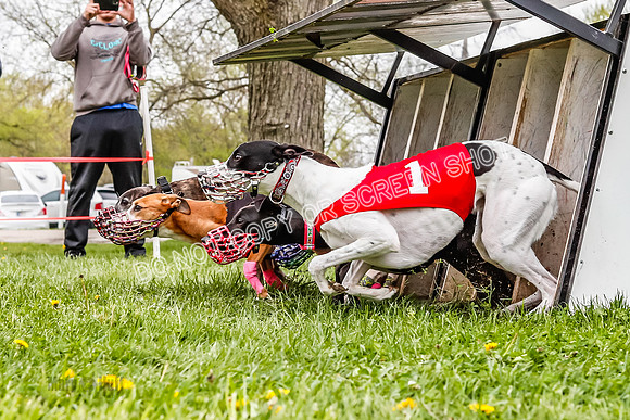 WRA, Prg 3, Race 5, Scooter Cassie Guppy Savvy Terra-9174