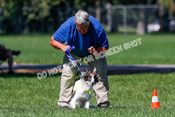 Silken Windhound Finals, Finnegan-3953