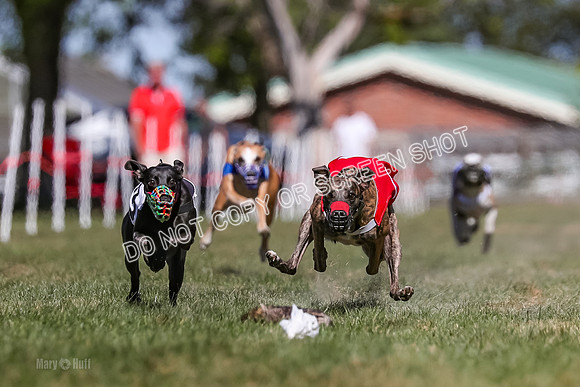 Prg 4, Race 1, Ruffian Flynn Nami Rigby Arrow Echo-0037