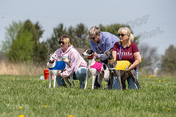 Finals Open F6 Strummer Pan-4074