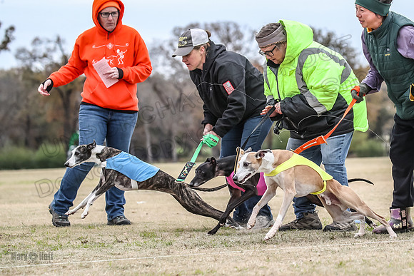 Finals Open 3 Scorch Shine Kashi-4012