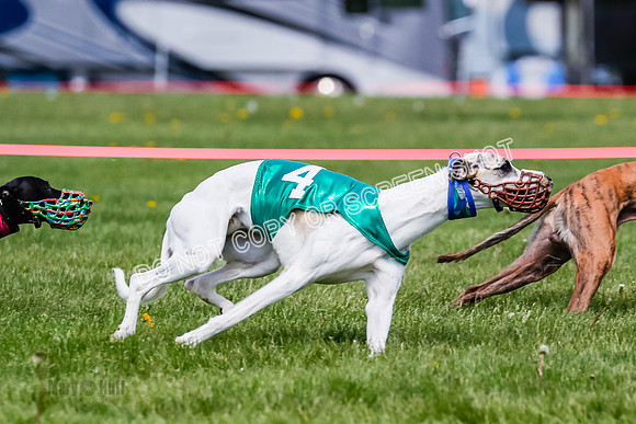 NOTRA Program 2, Race 8, Stoke Nami Nika Eddie-2-12