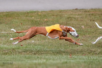 1 Prelims Fch 1 Penny Jadis Willow-5766