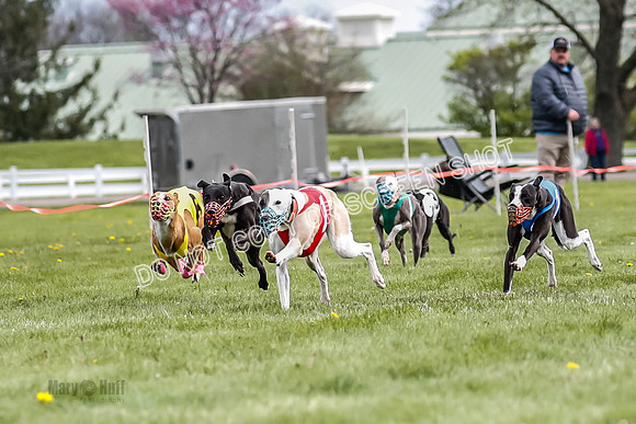 WRA, Prg 1, Race 10, Jamie Pico Nami Elia CC Savvy-8412