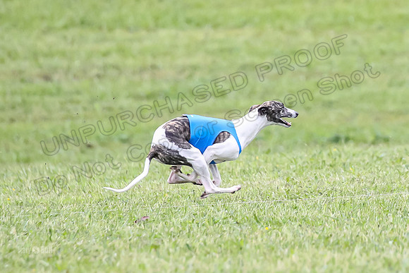 Prelim Open F5, Brinca Laila Storm-9406