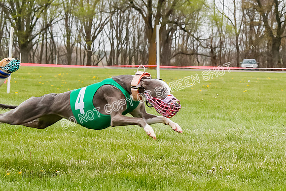 WRA, Prg 4, Race and 6, Beacon Hornet Chernobog Elia Sparks Riggs-9369