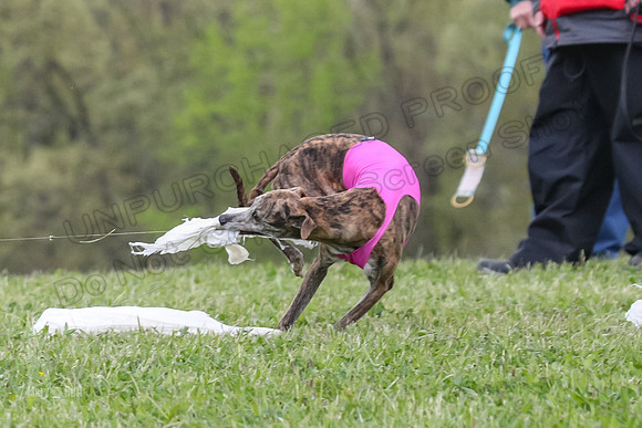 Finals Open E4, Sunshine Siren Shadow-1153