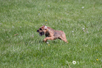 IMG_1075