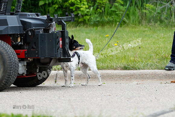 L3 Vehicle-7366