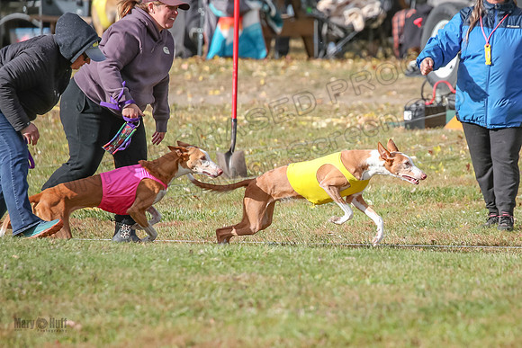 1 Prelims Unknown-6038