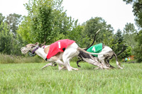 prg 1 race 2 Tissy Wallie Frankie Elsa-3514