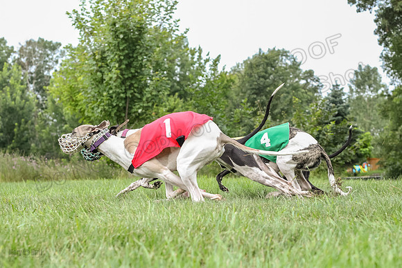 prg 1 race 2 Tissy Wallie Frankie Elsa-3514