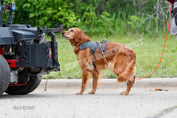 L3 Vehicle-7354