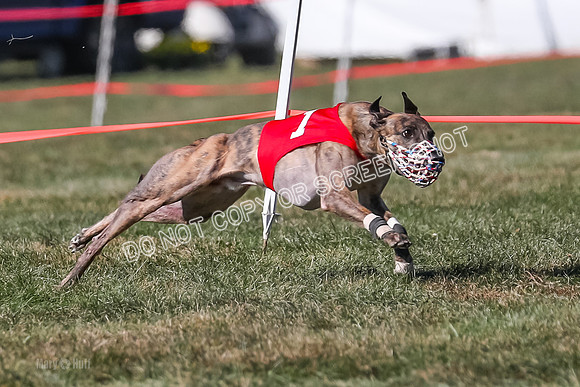 Prg 4, Race 12, Snacks Coty Ryka Stone-2732