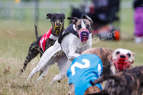 Prg 3, Race 5, Sid-Alex-Zed-Fama-Talim-1184
