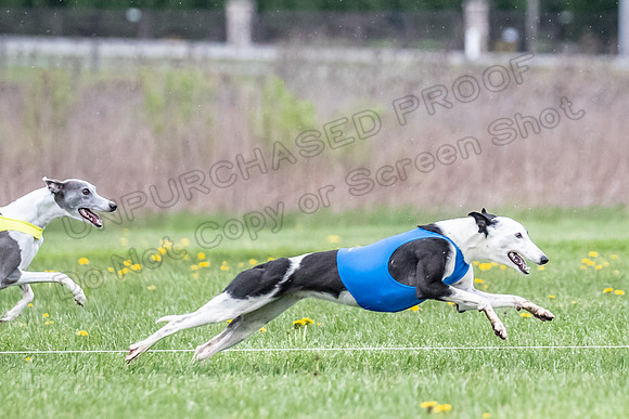 Finals Open E2 Misty EllieMae Encore-8906