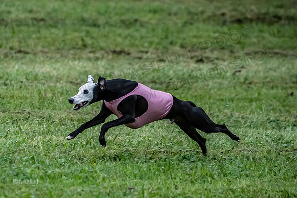 Prelim Open C1, Wrath Ozzy Fia-3915