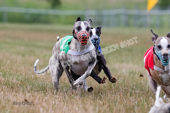 Prg 3, Race 4, Rowan-Jett-Blaze-Shimmy-Bogie-1141