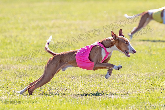 Prelims Open Jagger Maverick-5351