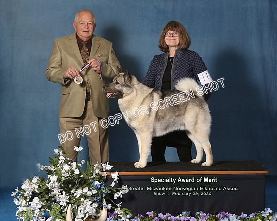 Elkhound 2020-1081-Edit