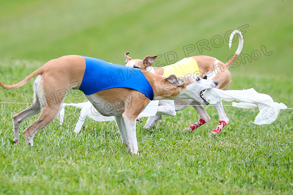 Prelim Open E2, Riddle Finely Scarlet-4914