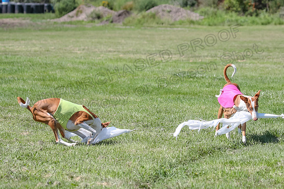 Finals Fch 2 Beastie Ginny-8325