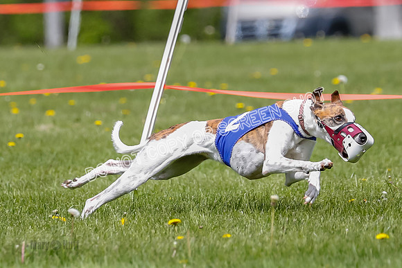 NOTRA Program 2, Race 3, Picanha Bibi Watson-2-4