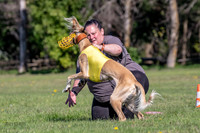Prelims-4514