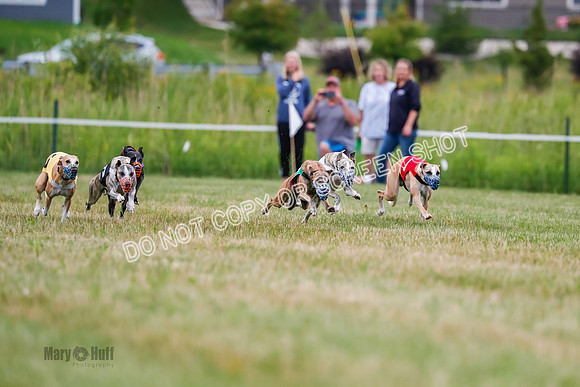 Prg 2, Race 4, Marty, Bogie, Denim, Meatloaf, Blaze, Raz-0988