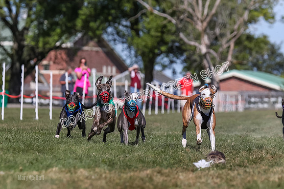 Prg 4, Race 4, Elia Zivah Moki Sansa Patsy-0158