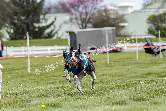 WRA, Prg 1, Race 10, Jamie Pico Nami Elia CC Savvy-8418