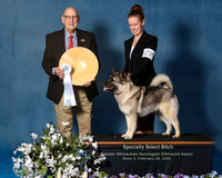 Elkhound 2020-1125-Edit