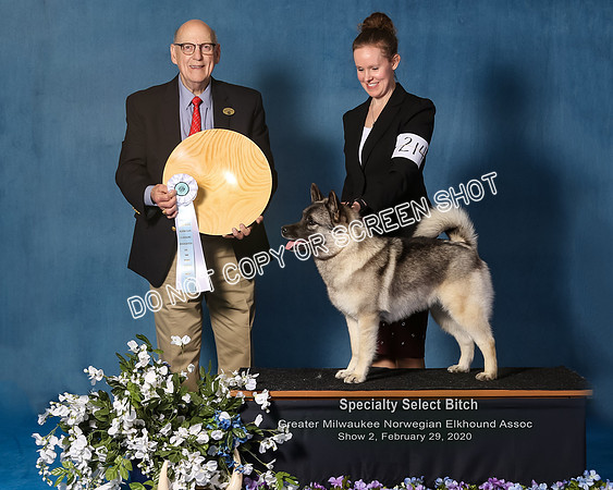 Elkhound 2020-1125-Edit