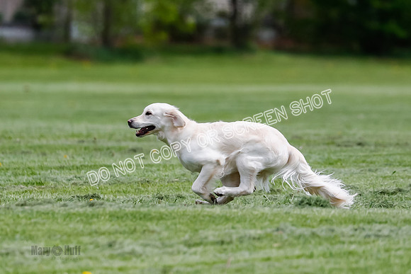 Cat Test 2-0680