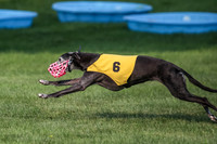 prg 1 race 1 Nathalia Tissy Seeker Angel-2844