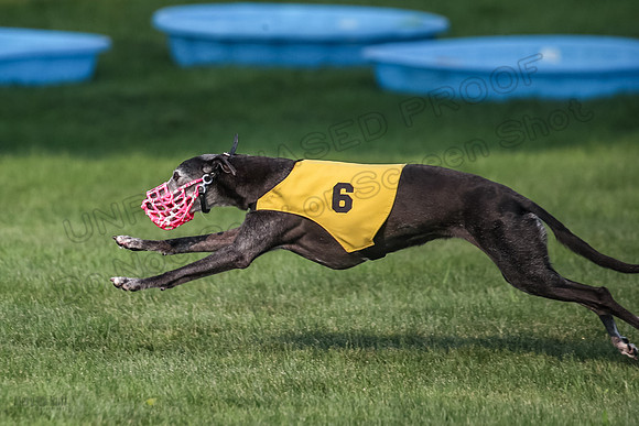 prg 1 race 1 Nathalia Tissy Seeker Angel-2844