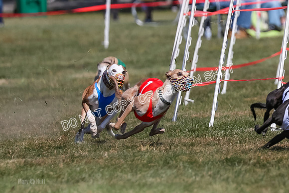 Prg 3, Race 6, Micky Sansa Power Arrow-2059