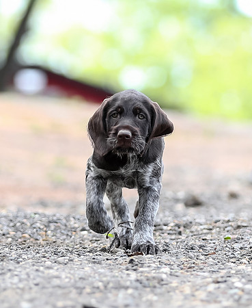 5 AE4I9613