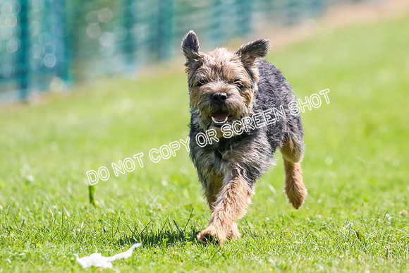 MCH70921