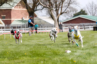 WRA, Prg 2, Race 2, Dash, Elvis Moonstruck Buzzsaw Mika Reas-8567