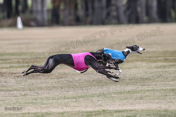 Finals Open 3 Scorch Shine Kashi-4049