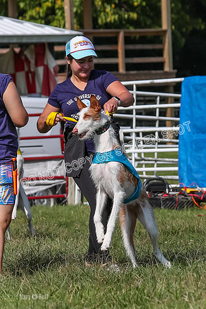 Open Prelim A1, Rose Riptide Idina-7535