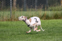 prg 1 race 1 Nathalia Tissy Seeker Angel-2828