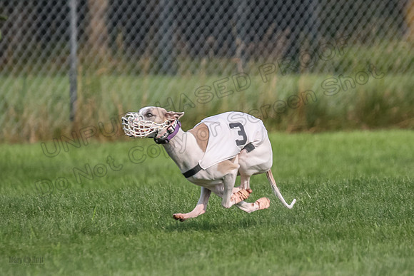 prg 1 race 1 Nathalia Tissy Seeker Angel-2828